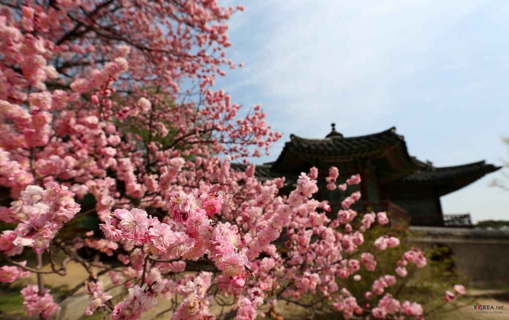 Seoul Forest Guesthouse Exterior photo