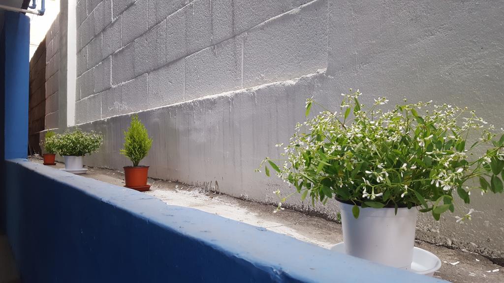 Seoul Forest Guesthouse Exterior photo