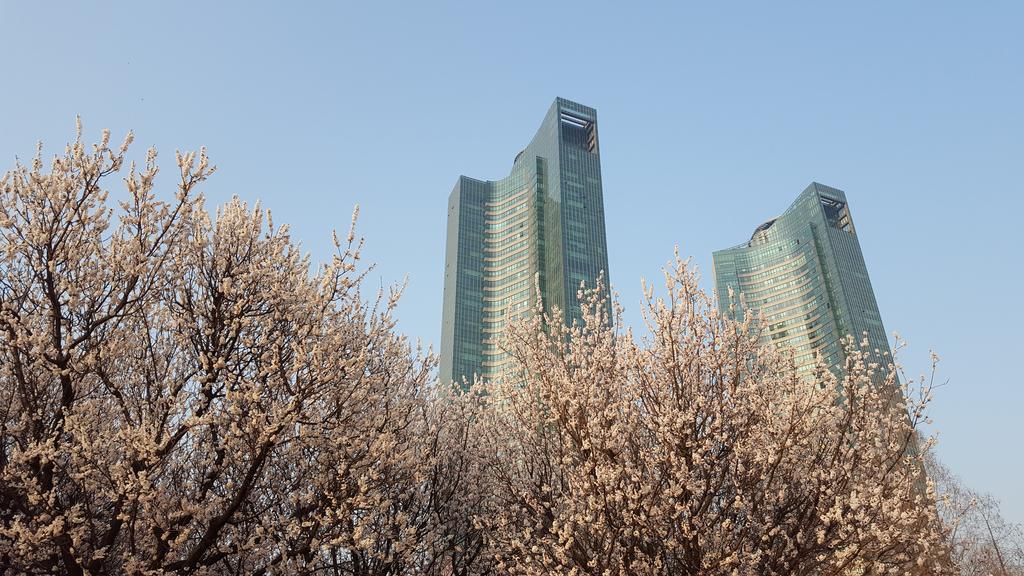Seoul Forest Guesthouse Exterior photo